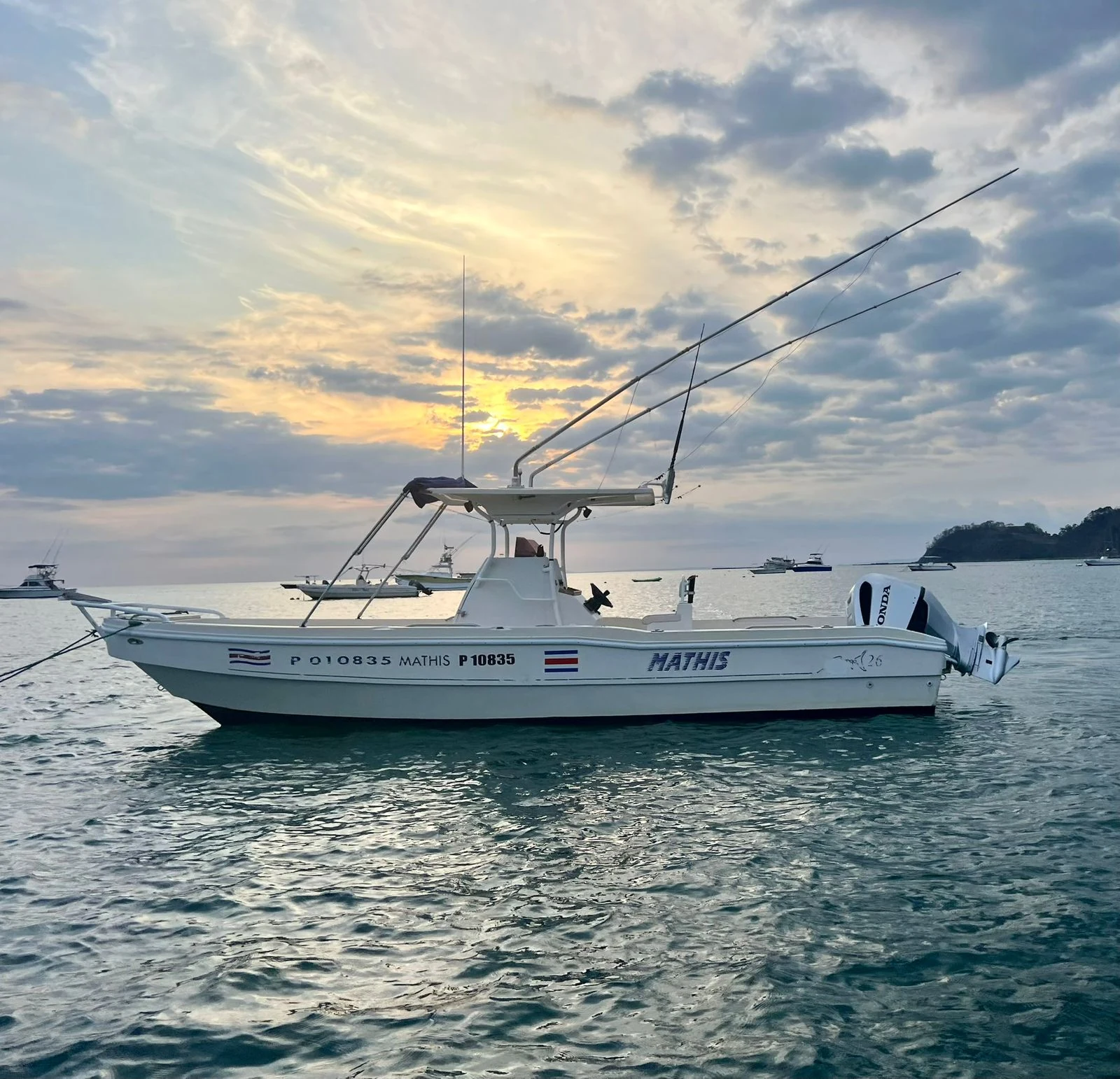 28' Apex Sportfisher fishing charter boat