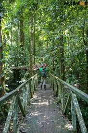 Carara National Park Tour Wahoo Sportfishing Jaco