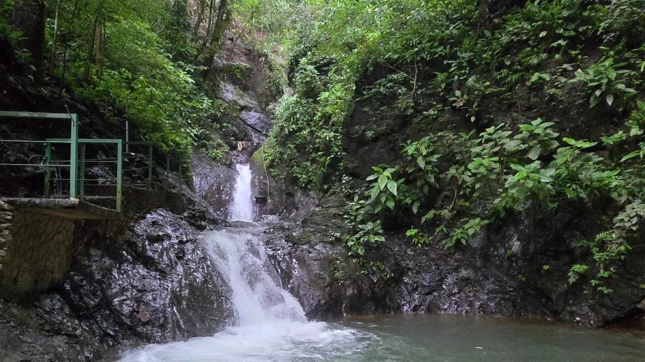 Jaco Tours Costa Rica: Fishing, ATV, Zipline, Isla Tortuga & Nature Experiences