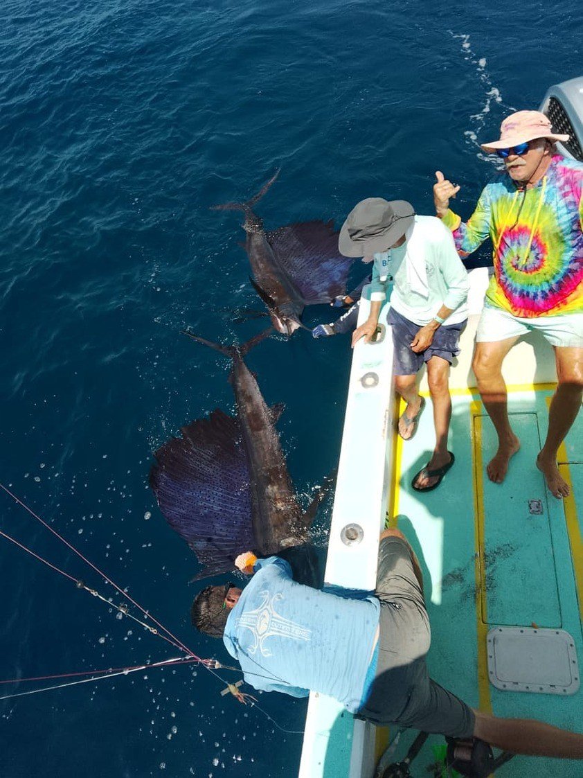 Guest with sailfish during a Wahoo Sportfishing Jaco offshore fishing charter in Costa Rica