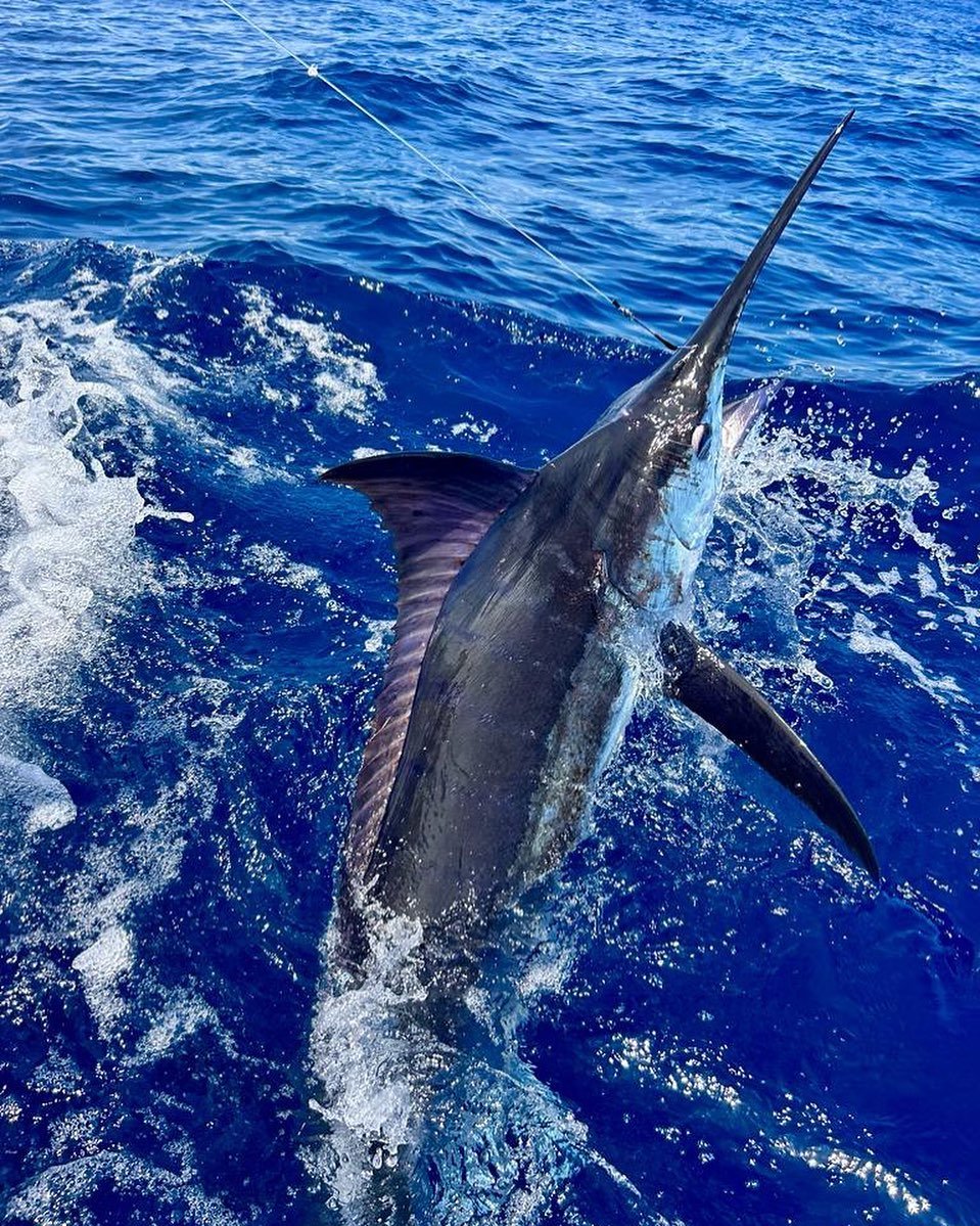 Wahoo Sportfishing Jaco Marlin with Wahoo Sportfishing Jaco in Costa Rica