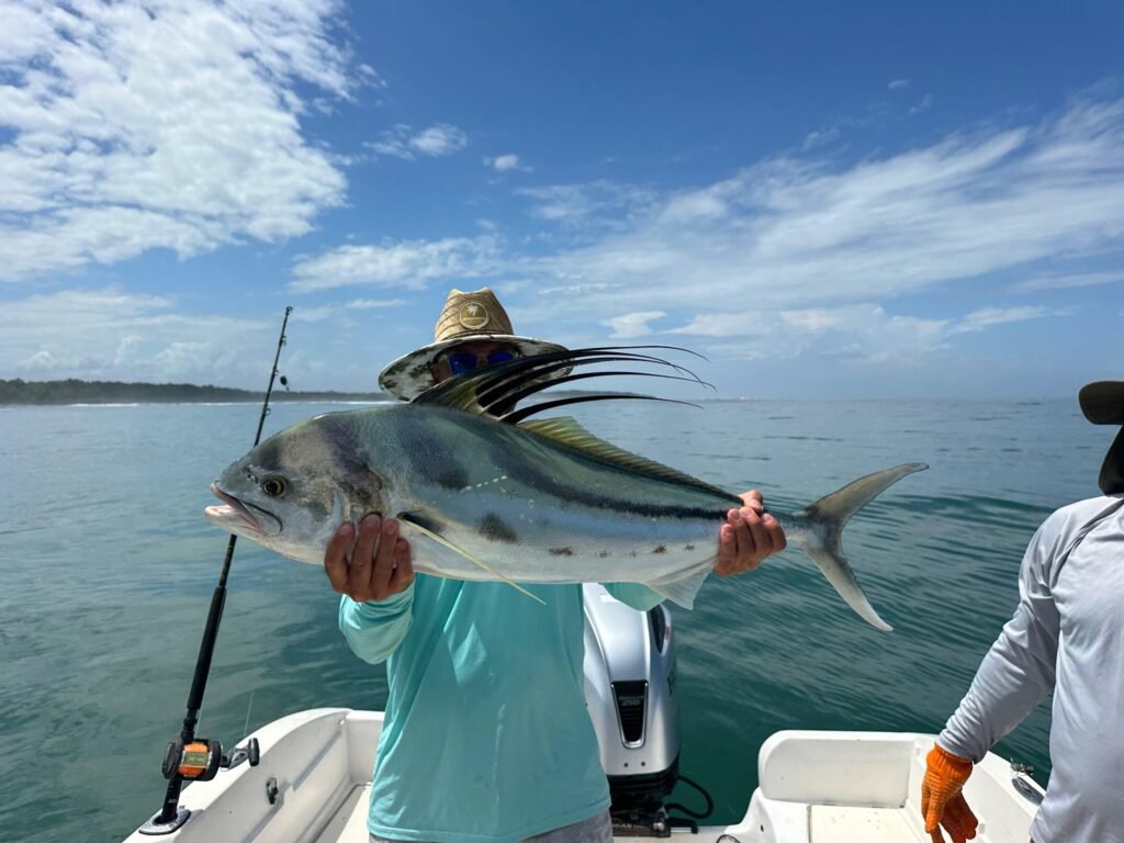 Large roosterfish caught during an inshore fishing trip near Jaco Costa Rica in July 2026