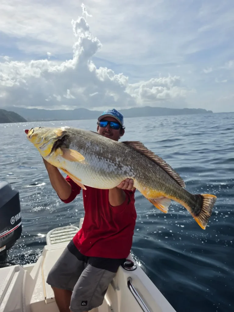 Angler in a red shirt holding a very large inshore trophy fish during a Jaco Costa Rica fishing charter in August 2026